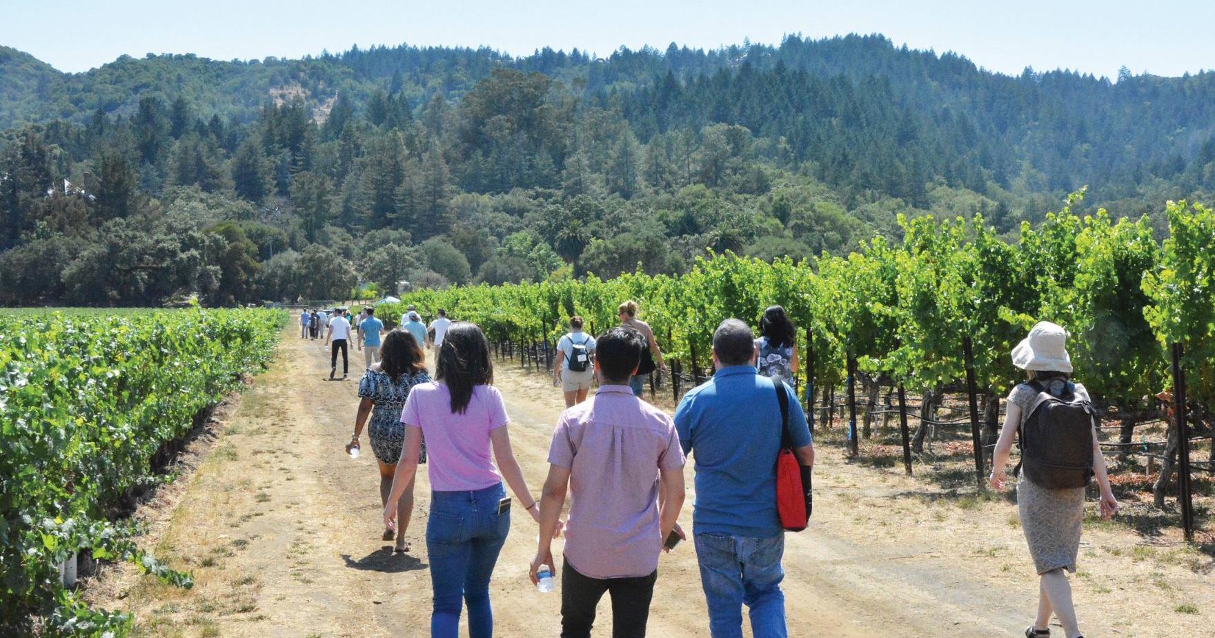 Afternoon in the Vineyards offers behind-the-scenes tours - Vimarsana News
