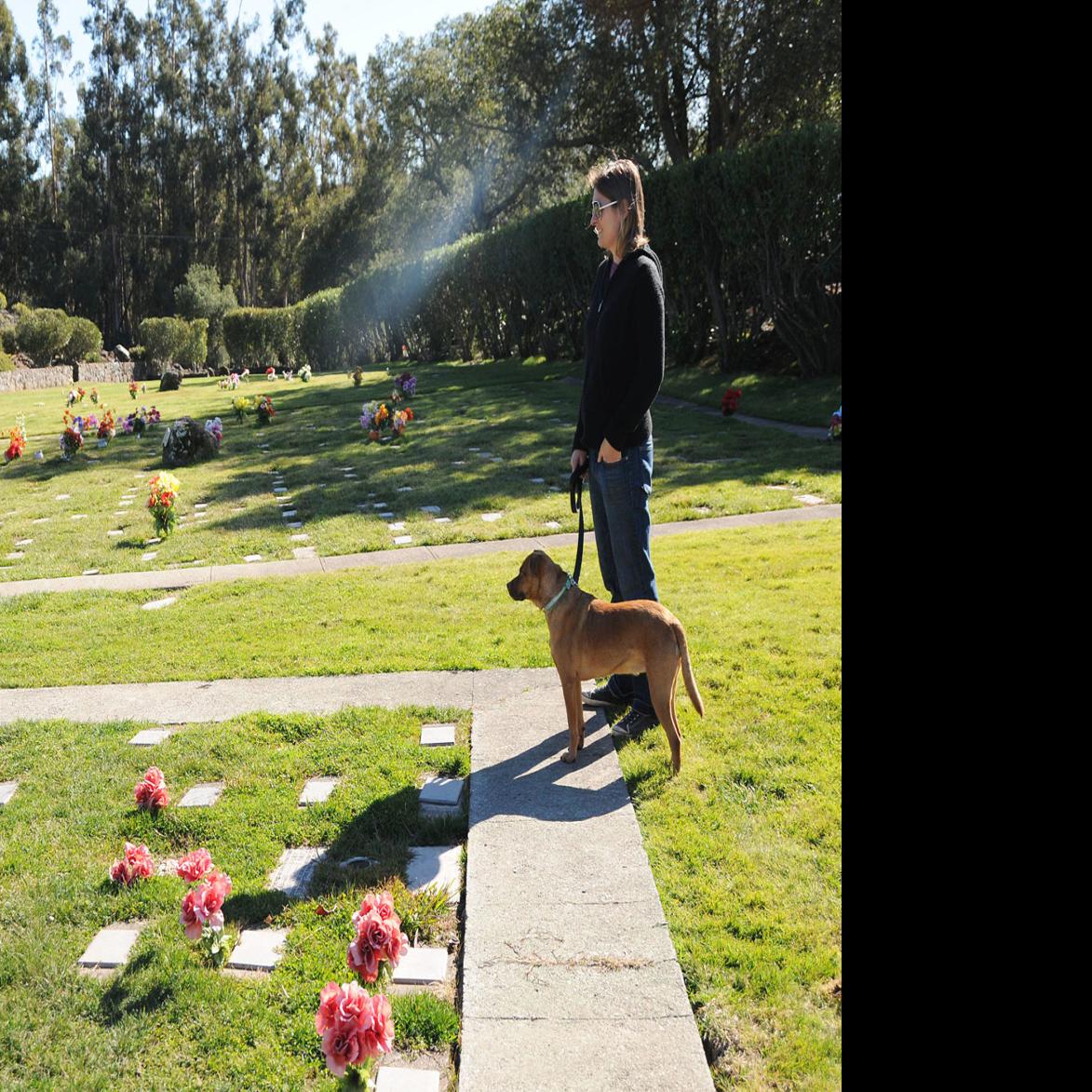 Beyond The Gates Of Heaven Rural Napa Valley Cemetery Is