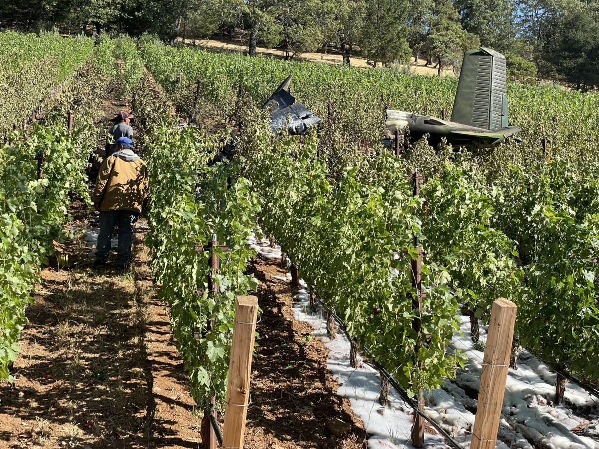 Angwin plane crash