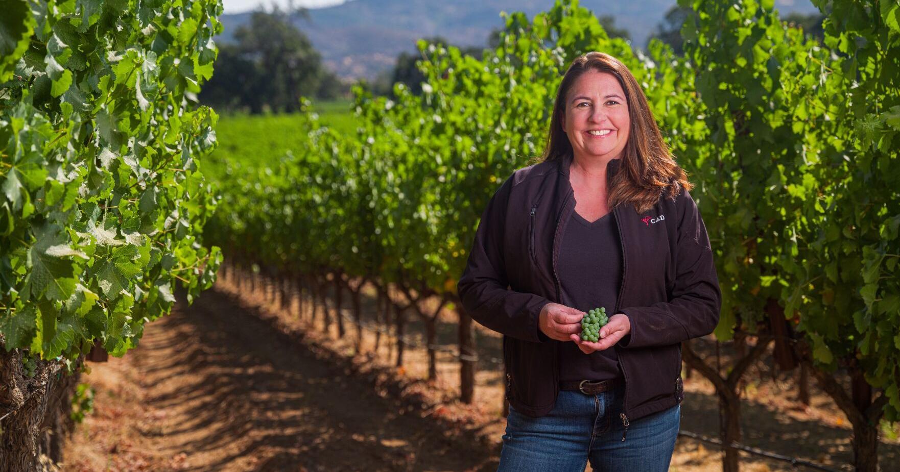 Get to know Napa County's local entrepreneurs - Vimarsana News