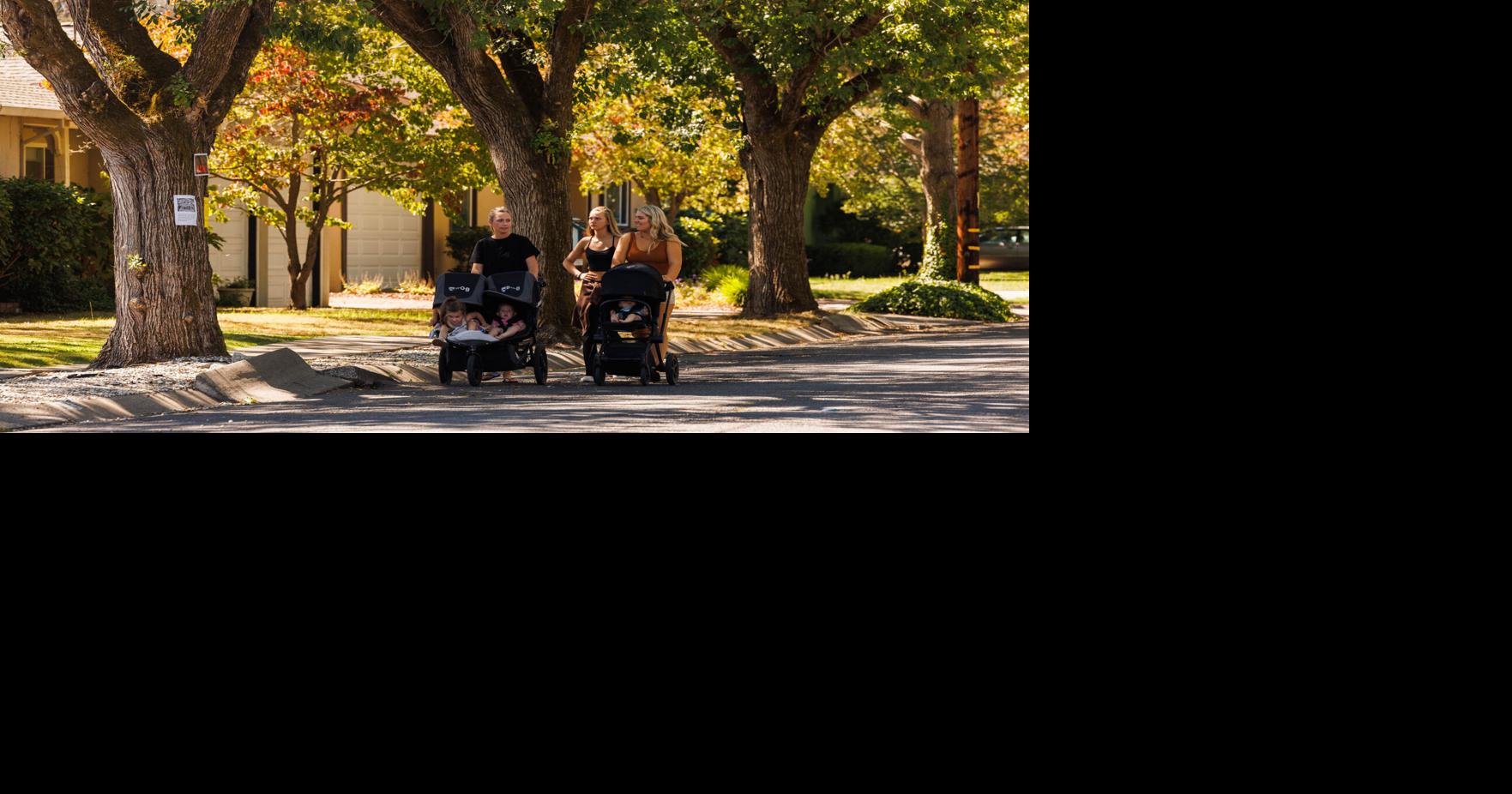 Napa’s Waverly Street trees to be removed over coming weeks