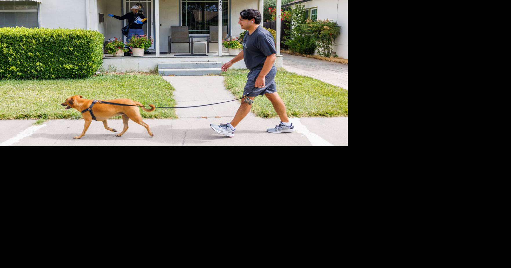 Napa News Now: Check out the stories Napa County residents are talking