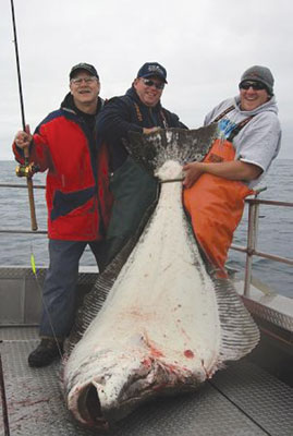 Halibut China Trade,Buy China Direct From Halibut Factories at