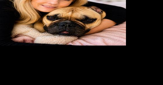 Napan creates software solutions for animal owners, shelters, vets