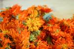 Purple Sage dried calendula