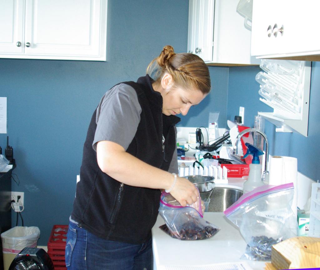 Harvest ride-along with a winemaker at Bella Union Winery