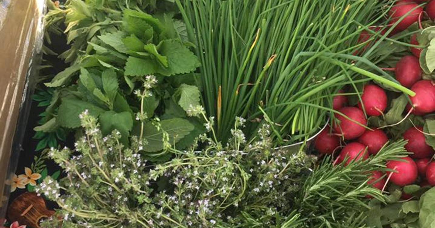 Simple syrups from the St. Helena Farmers' Market - Vimarsana News