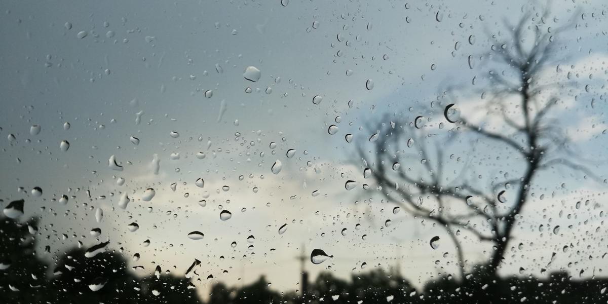 Not wet enough for you? Rainfall in Napa could pick up this month