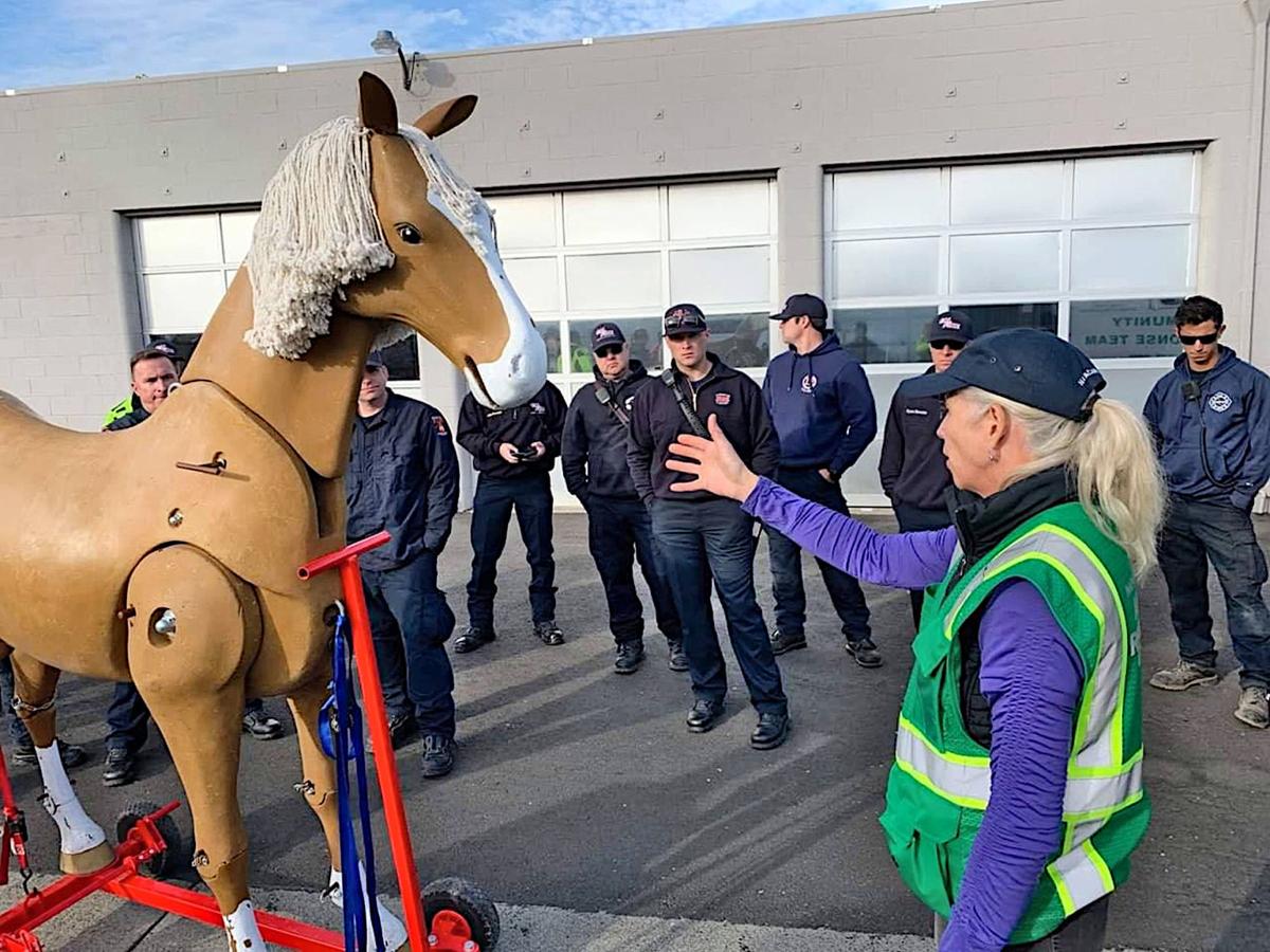 Sharing The Spirit Saving Napa S Horses During Natural Disasters