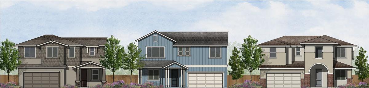 Saratoga Vineyard homes planned in Napa