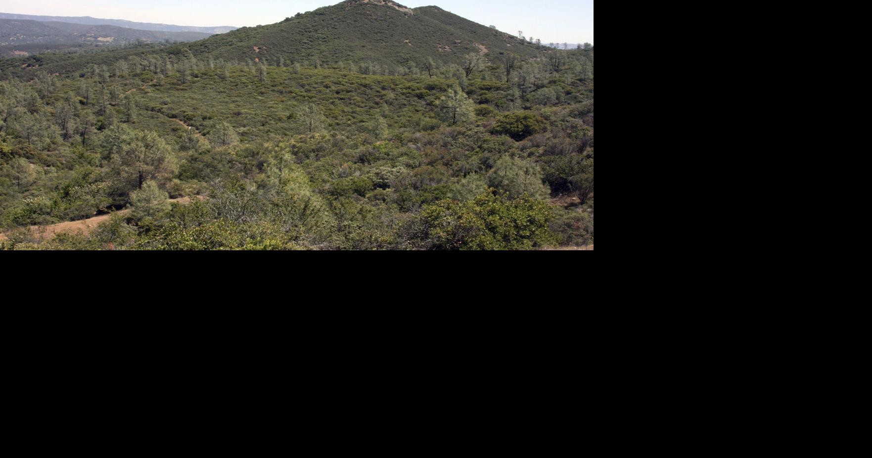 Napa Land Trust add Pope Valley land to nature preserve | News ...