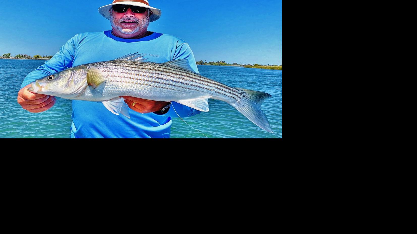 The Napa Valley Fishing Report: It is best to get your Delta repair now | Sports activities