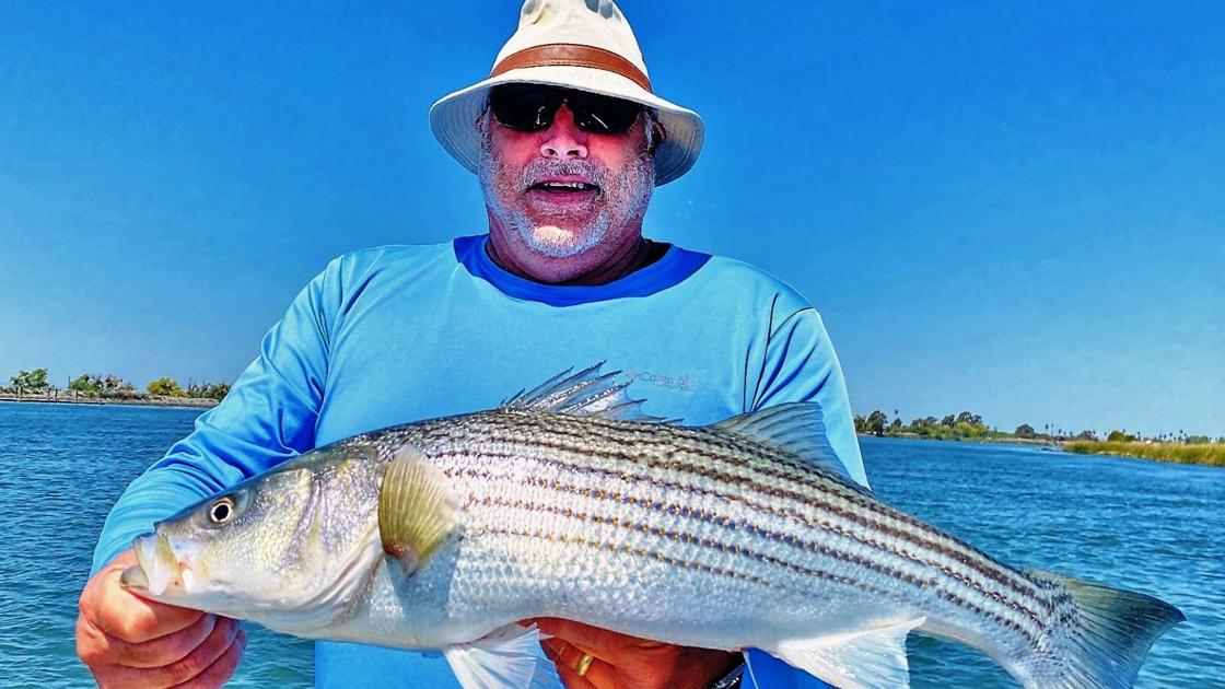 The Napa Valley Fishing Report: It is best to get your Delta repair now | Sports activities The Napa Valley Fishing Report: It is best to get your Delta repair now | Sports activities