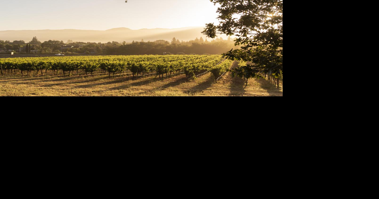 Balloons Above The Valley request doesn't fly with Napa County