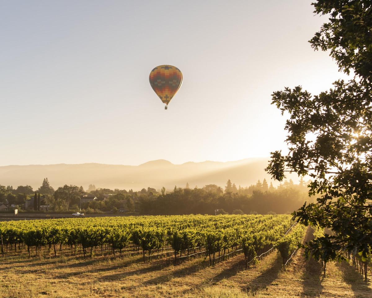 How Seasonal Weather In Napa Valley Affects Hot Air, 48% OFF