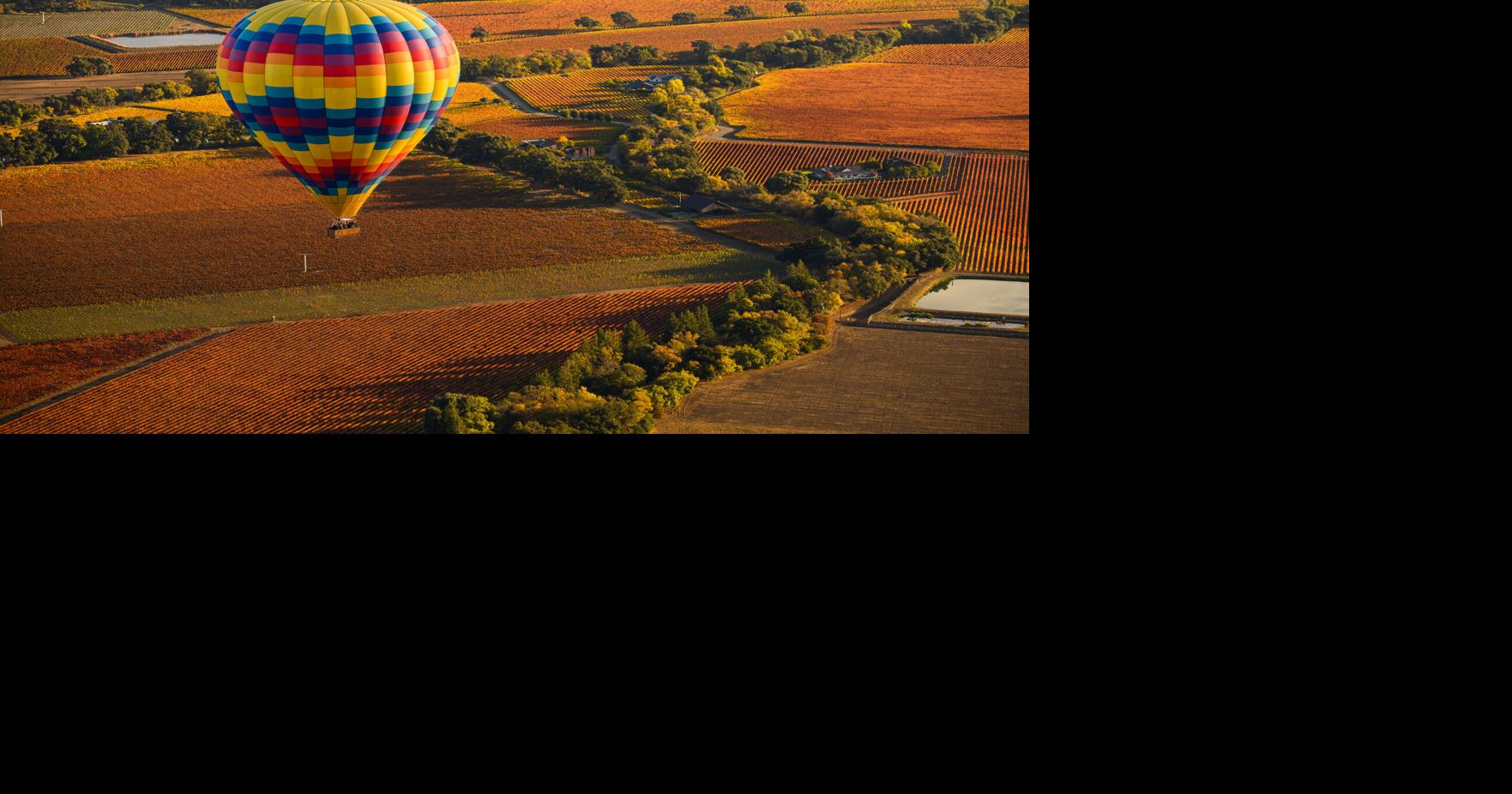 Balloons Above the Valley
