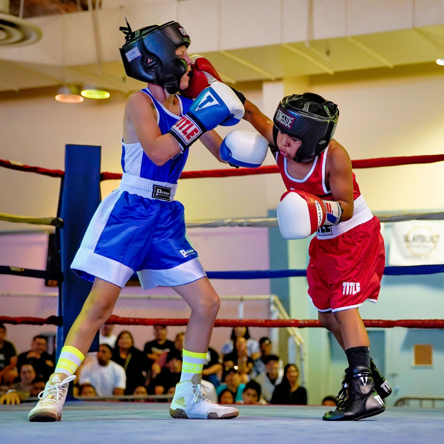 Napa Valley Youth Boxing Al Amanecer, Napa SAL fighters put on show