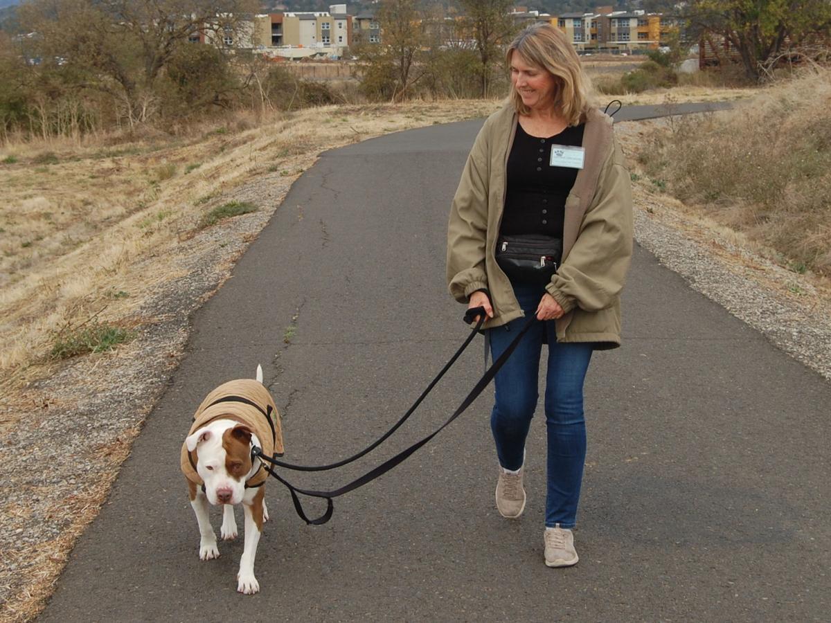 Volunteers keep Napa's animal shelter dogs on the move Local News