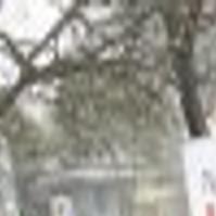 Pickets Target Napa Planned Parenthood After New Jersey Sting Local News Napavalleyregister Com