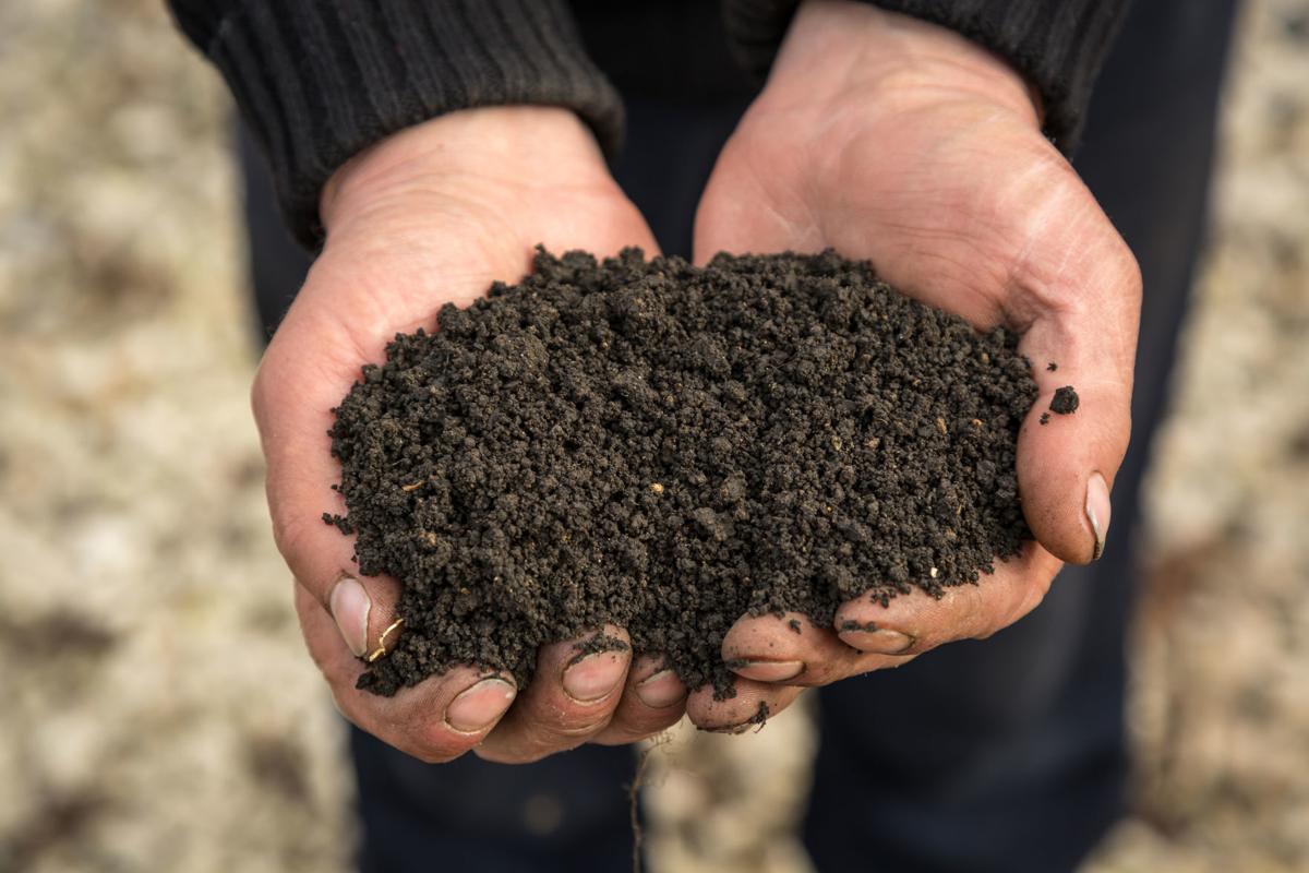 Napa County Master Gardeners: Healthy soil makes healthy plants