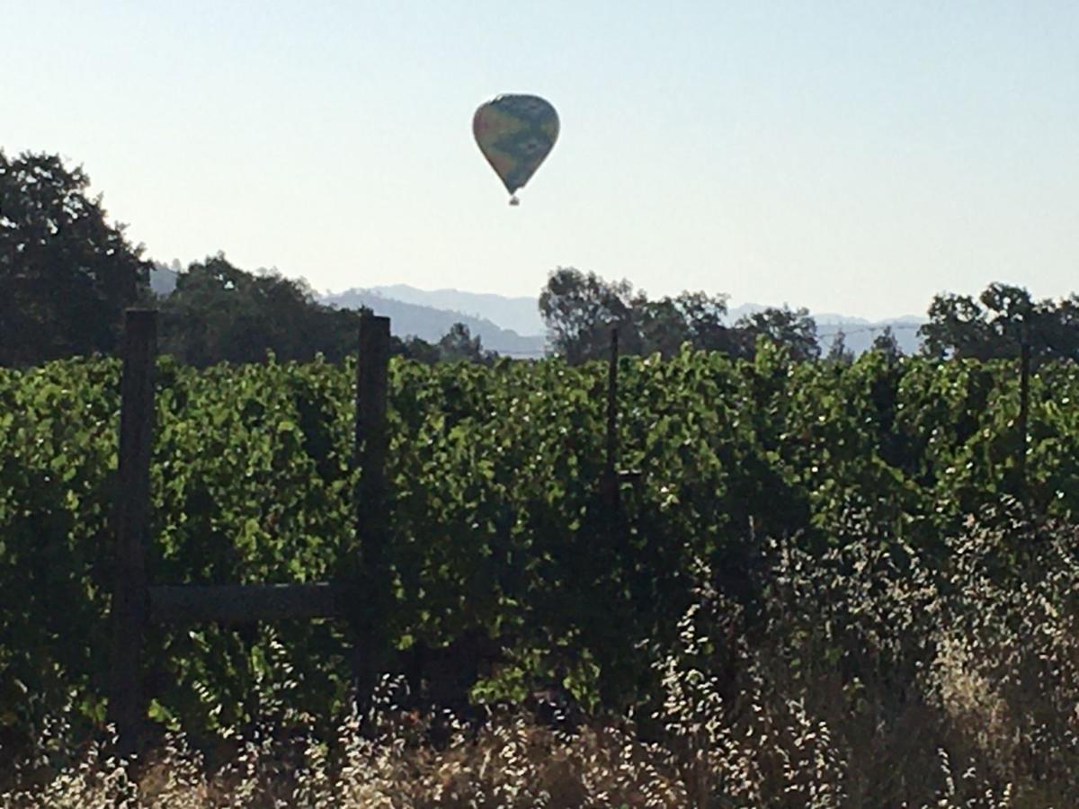 hot air balloon