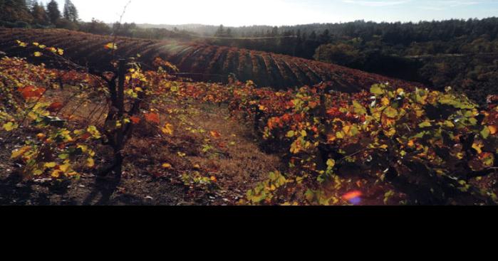 Exploring the El Dorado County wine region | Wine | napavalleyregister.com