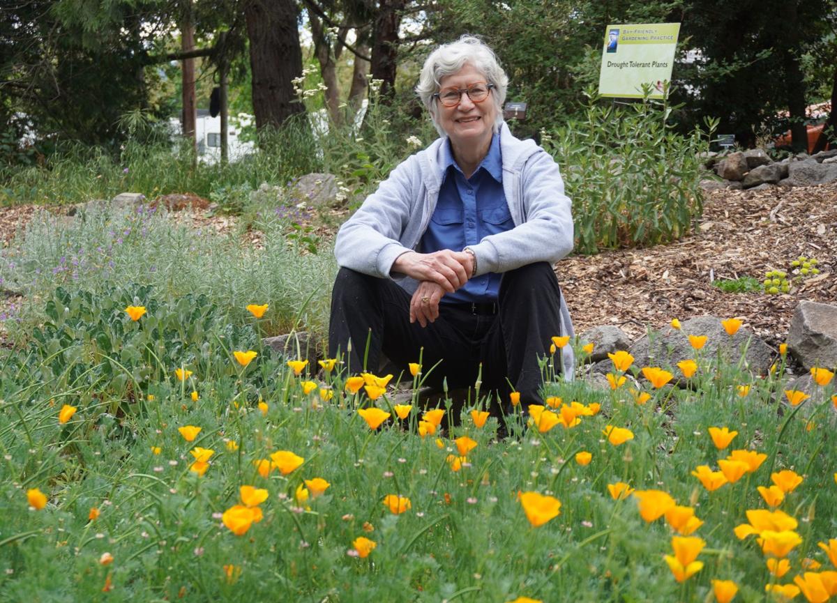 Bay Friendly Garden Tour