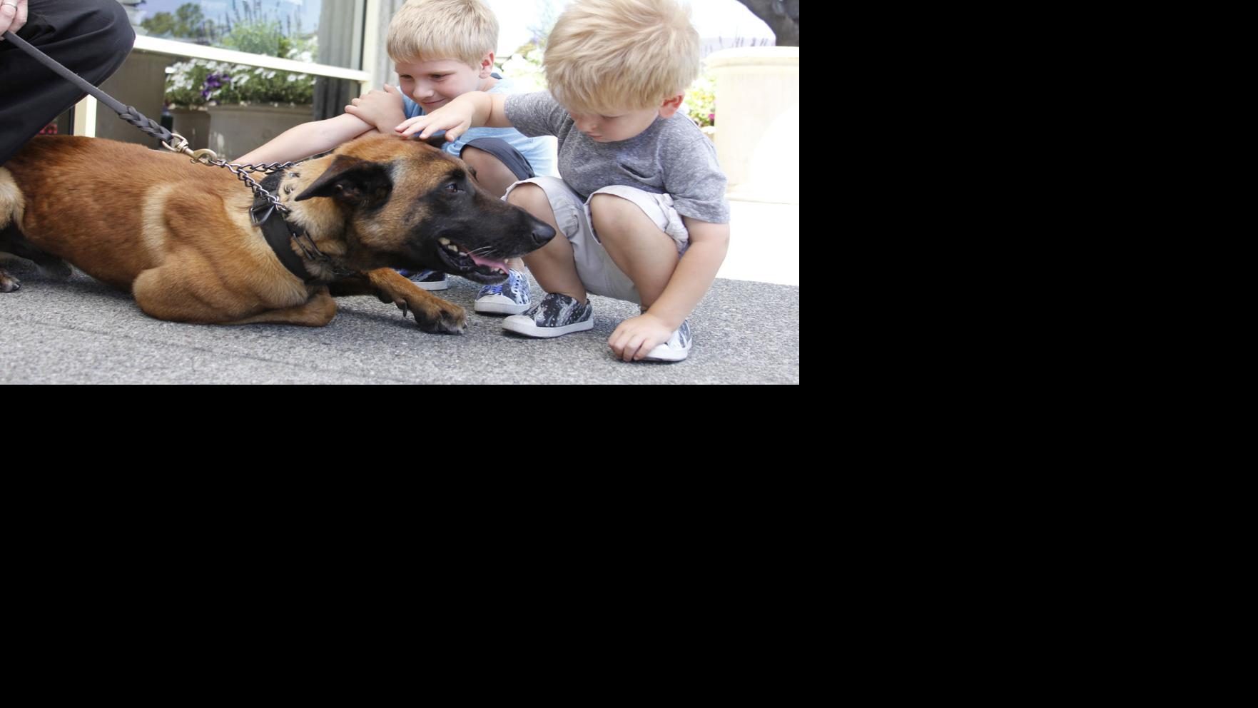 Protecting the paws that protect us: Napa Police, Pet Food Express fundraiser benefits Bay Area police dogs - Napa Valley Register