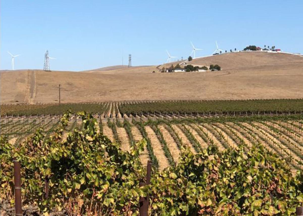 Livermore Valley Wine Country Why Go Wine Napavalleyregister Com