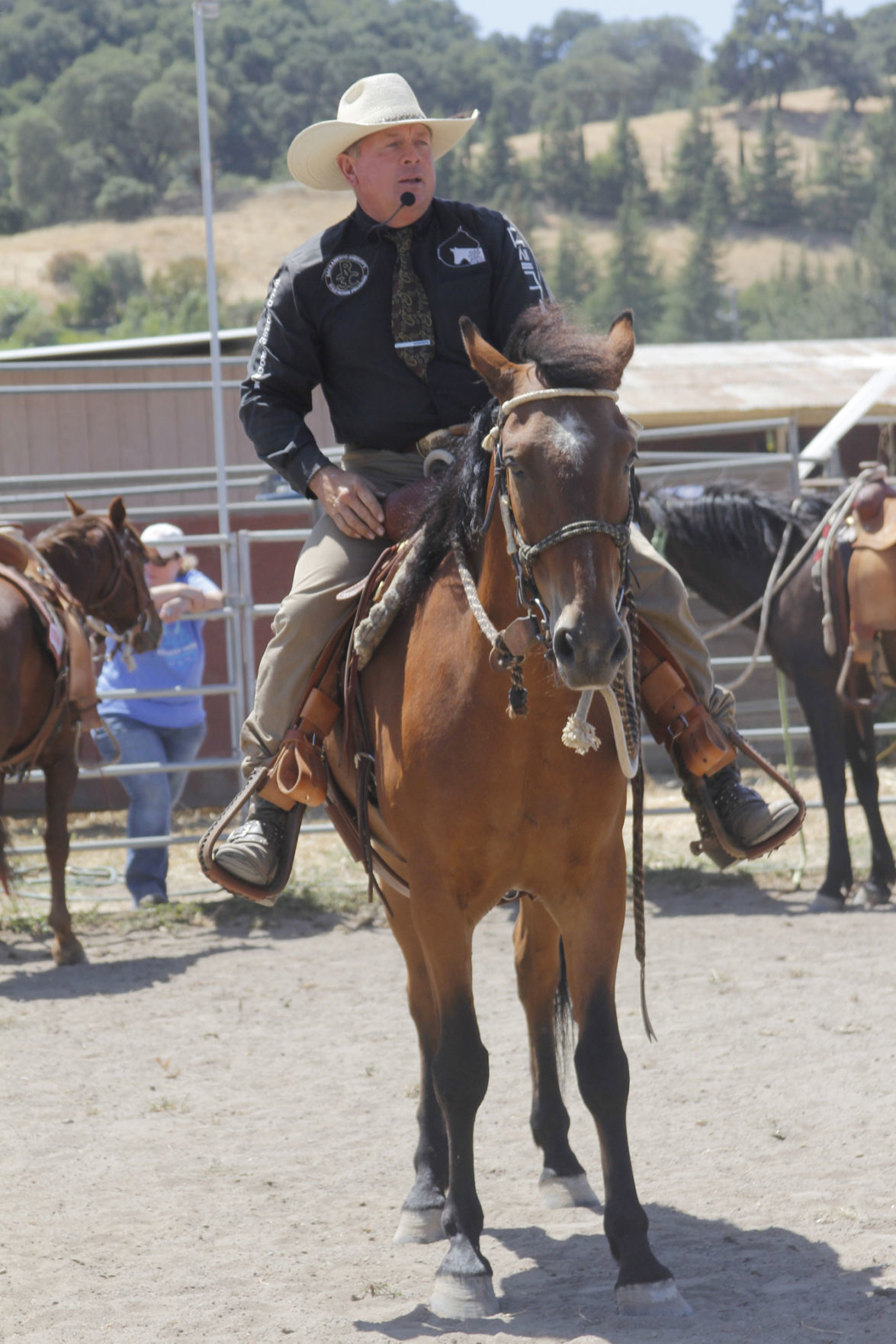 Horses in need of homes showcased at ‘Napa Mustang Days’ Local News