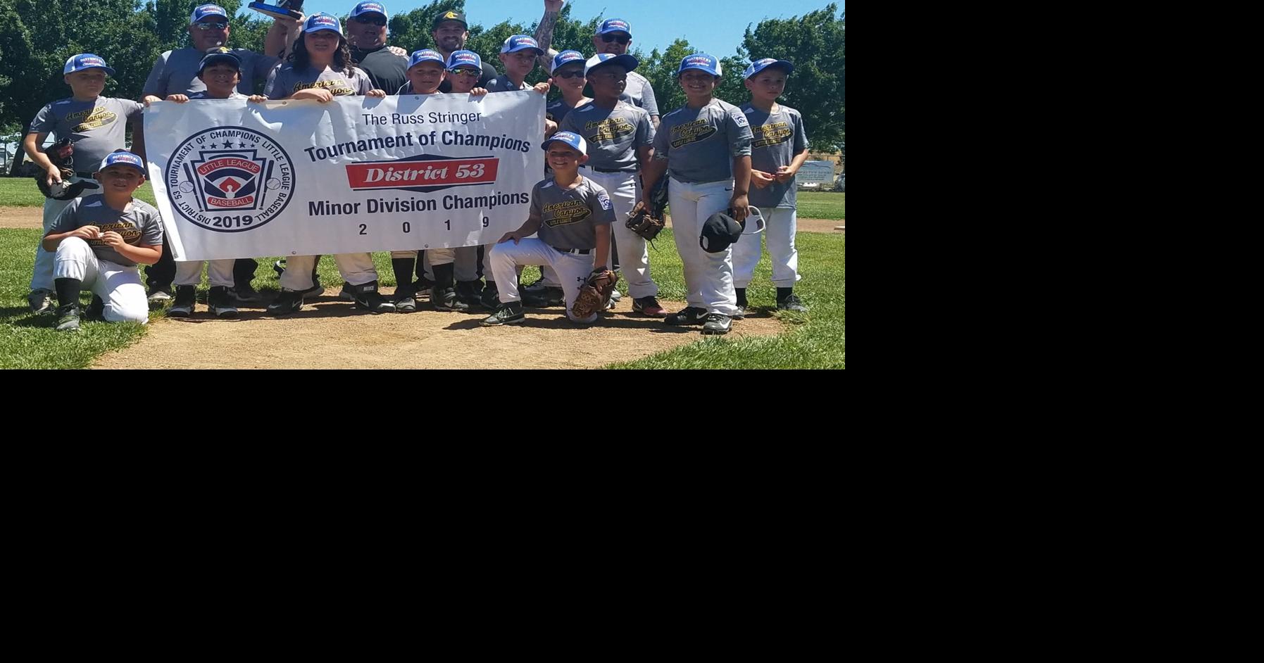 Undefeated, Vienna Little League team wins regional championship, town's  first in 50 years