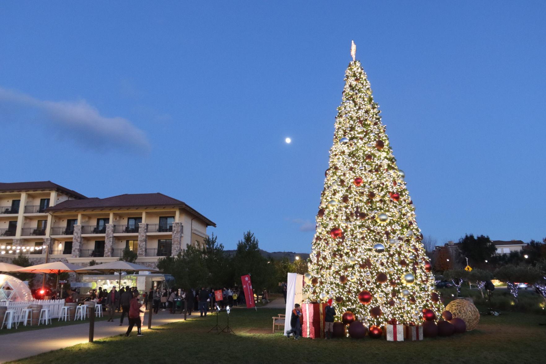 Christmas tree at Meritage
