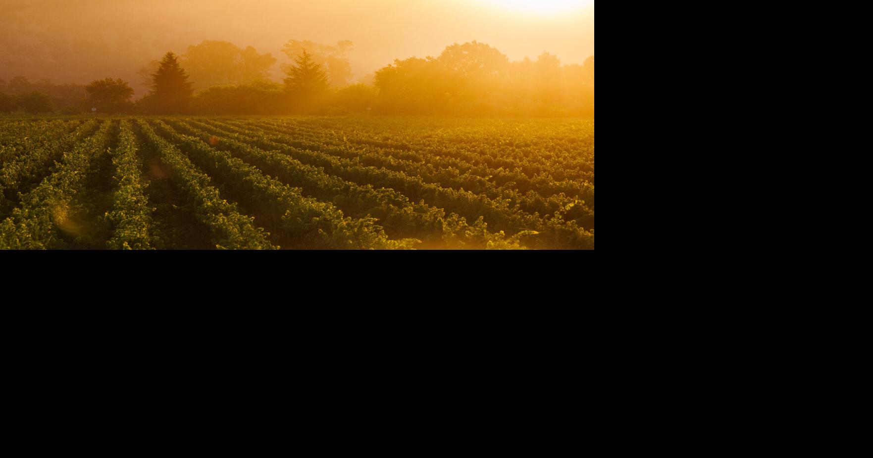 Napa County’s climate action plan is nearing completion.