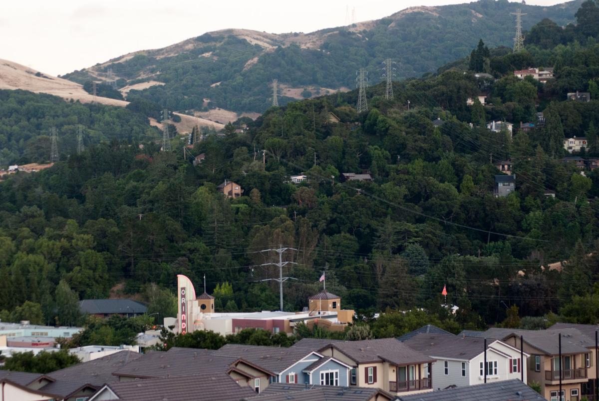 3 hospitalized after car strikes cow in Orinda California News