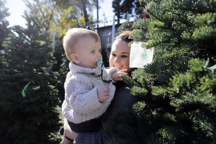 Supplies tight, but Christmas tree lots open in Napa County