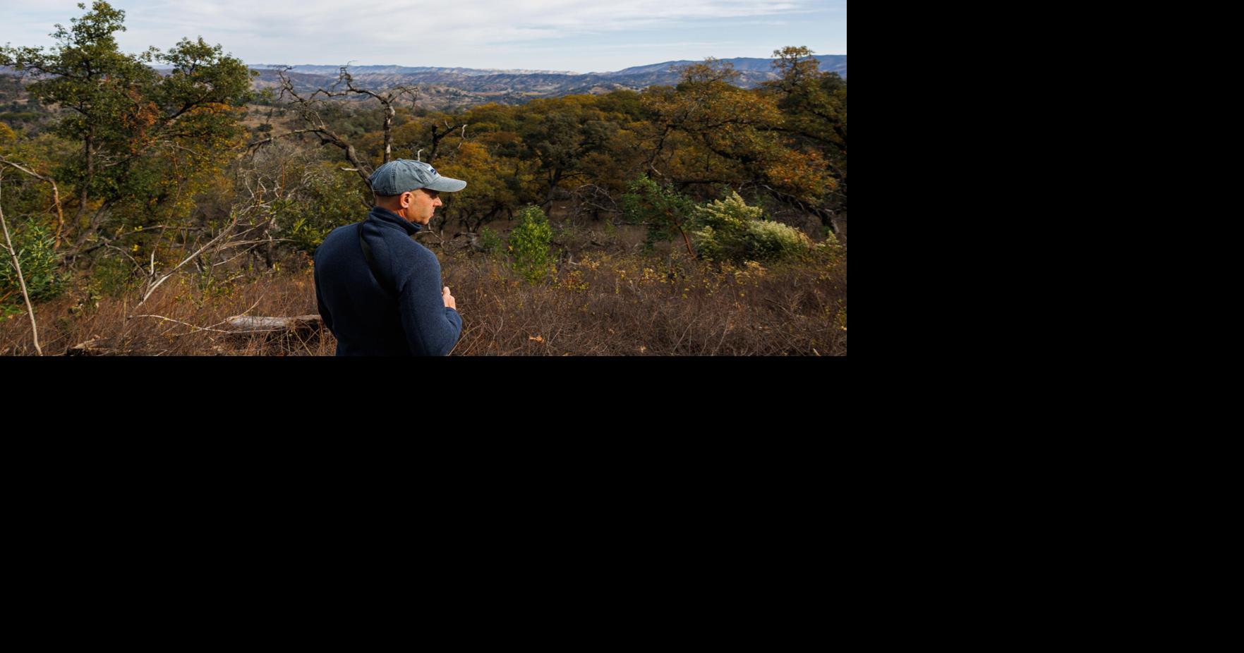 PHOTOS: Walt Ranch, Napa's newest nature preserve | News ...