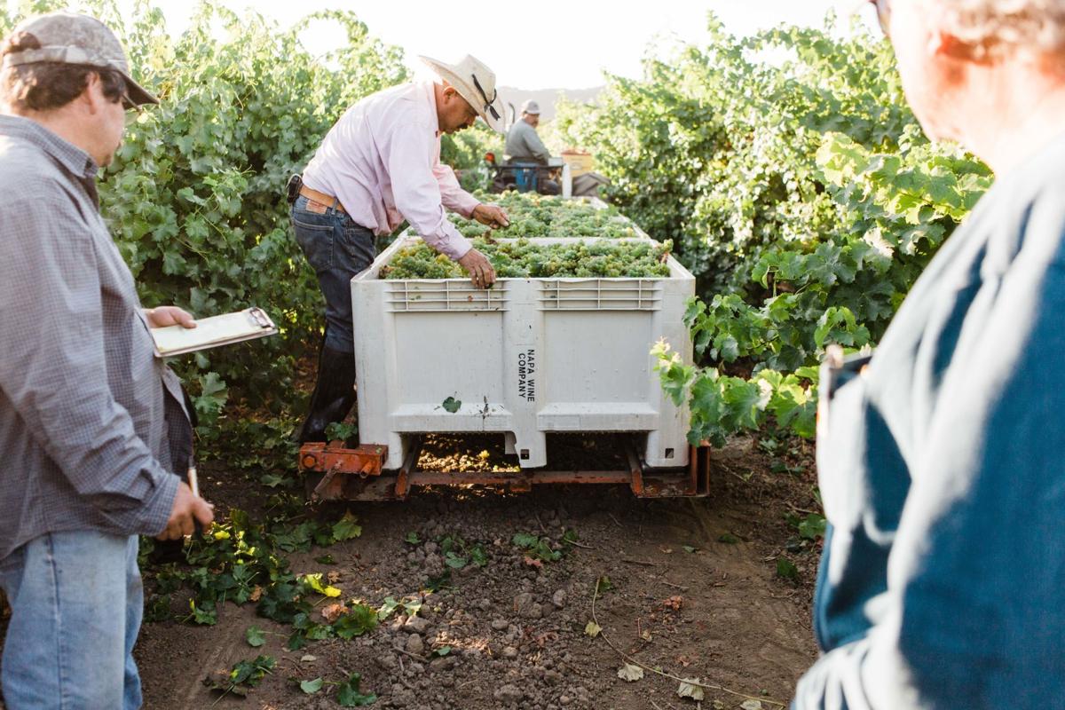 2019 Harvest