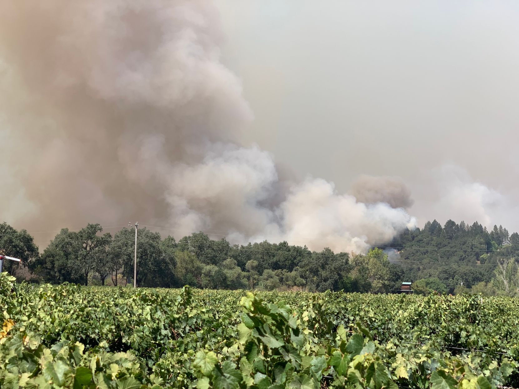 Wildfires threaten the bread and butter of Napa Valley tourism