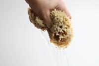 Plastic-free kitchen sponge