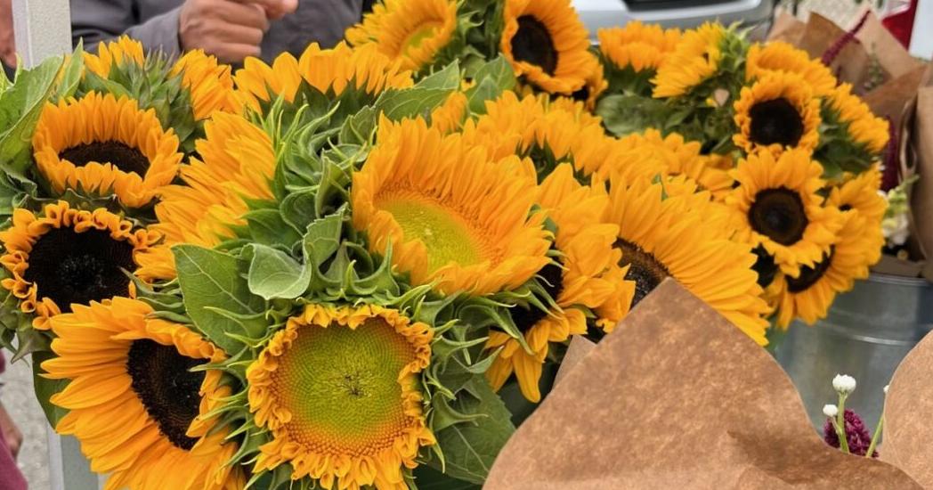 St. Helena Farmers' Market: Where flowers bloom, so does hope - Vimarsana News
