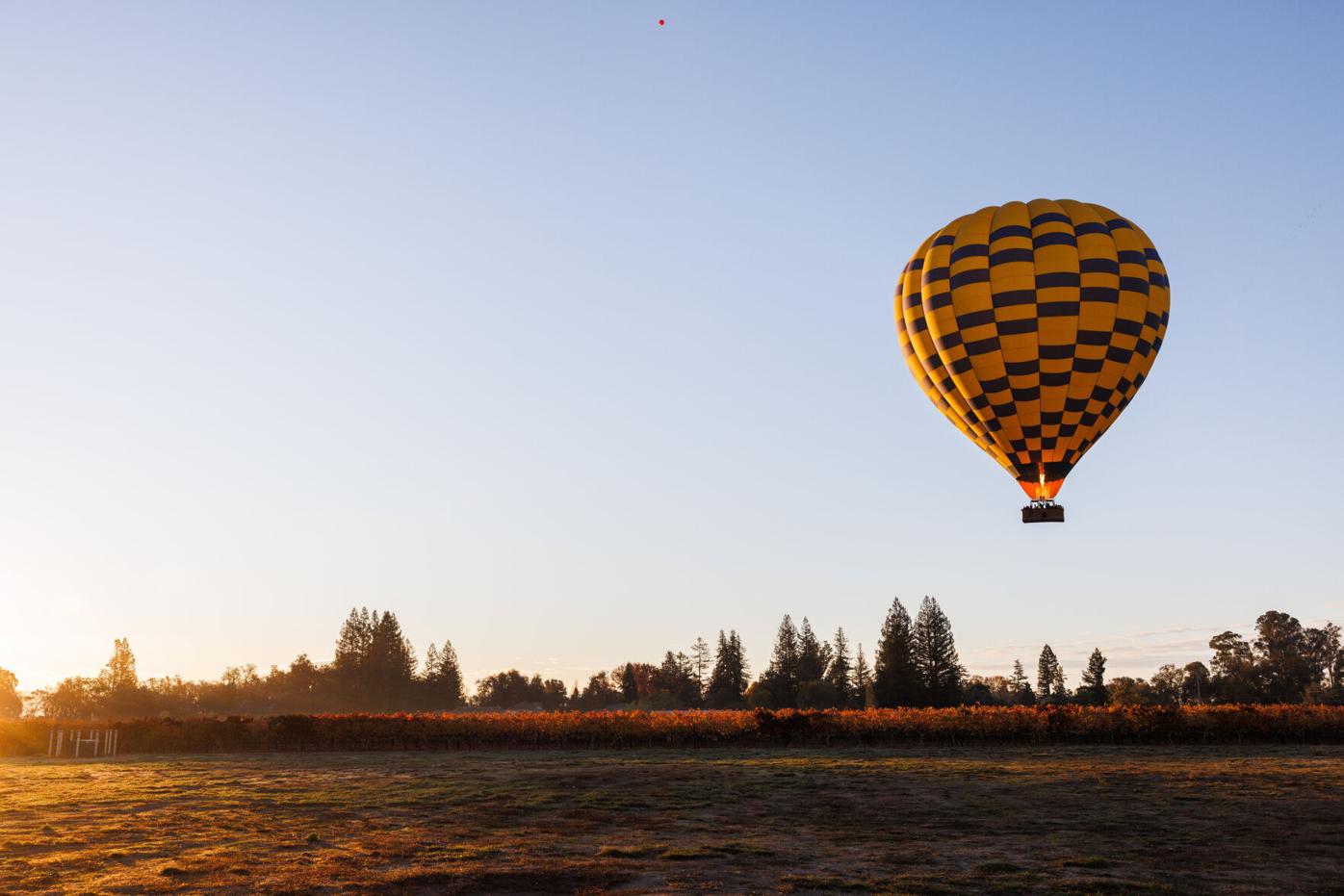 Up, up and away: Longtime Napa business Balloons Above the Valley and  properties for sale | Business | napavalleyregister.com
