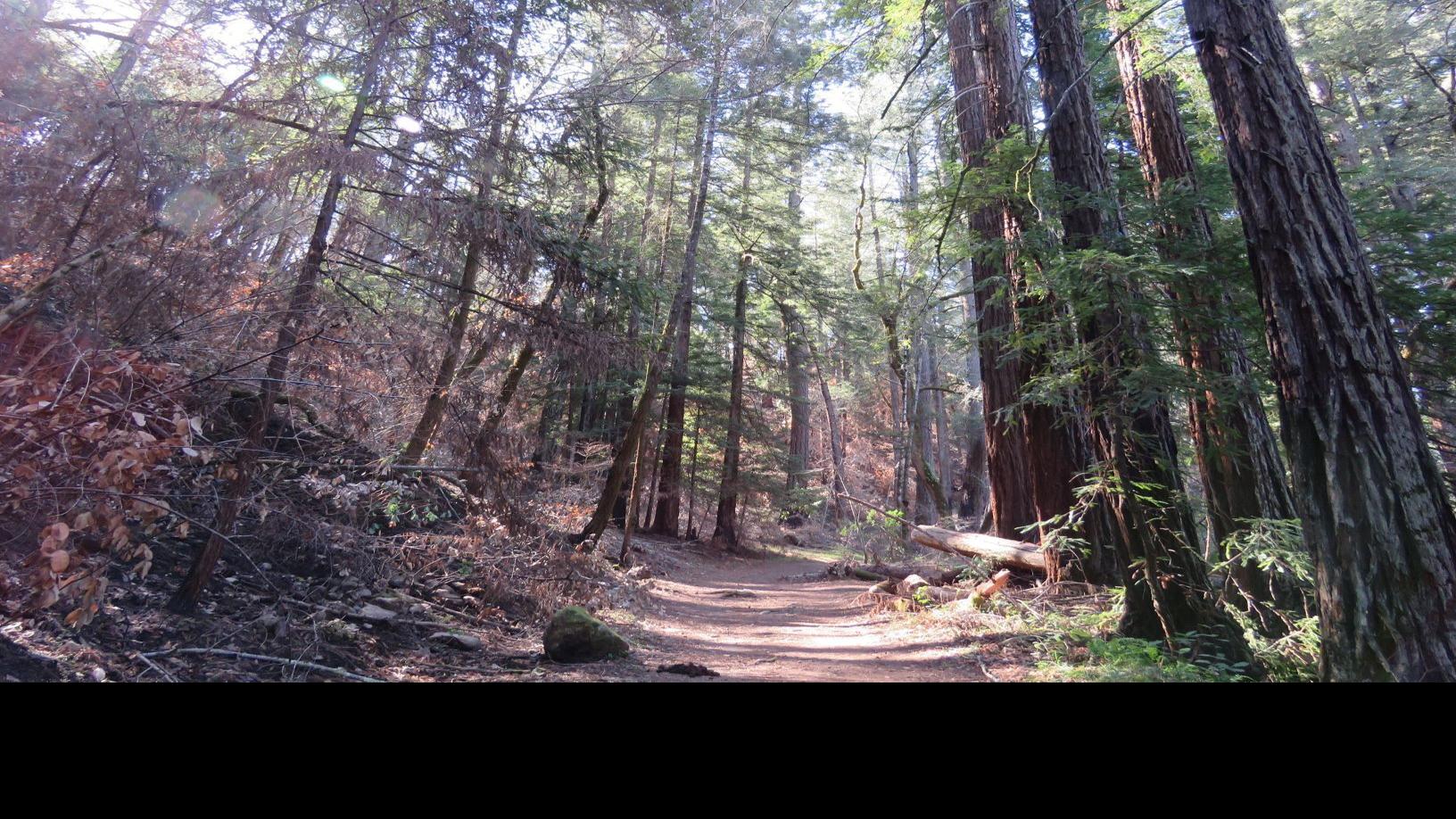 Napa Valley S Living Landscapes Bothe Is Back Lifestyles Napavalleyregister Com