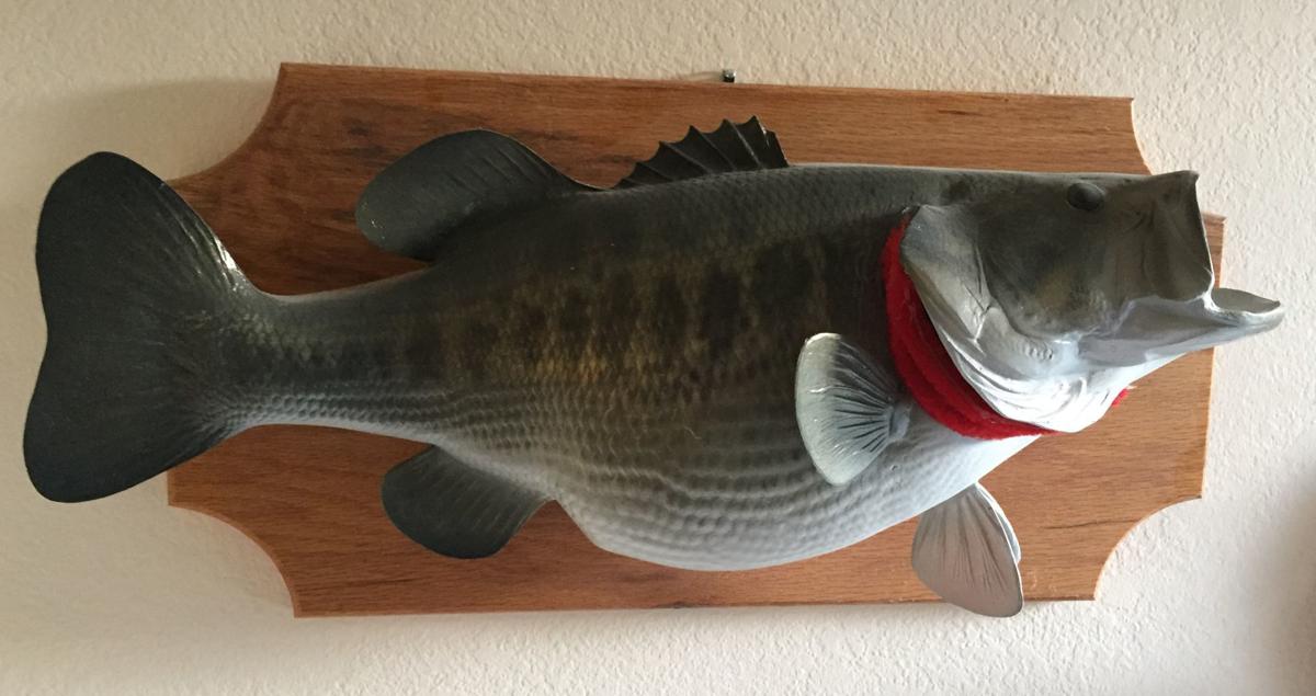Bill's Ryan's bass
