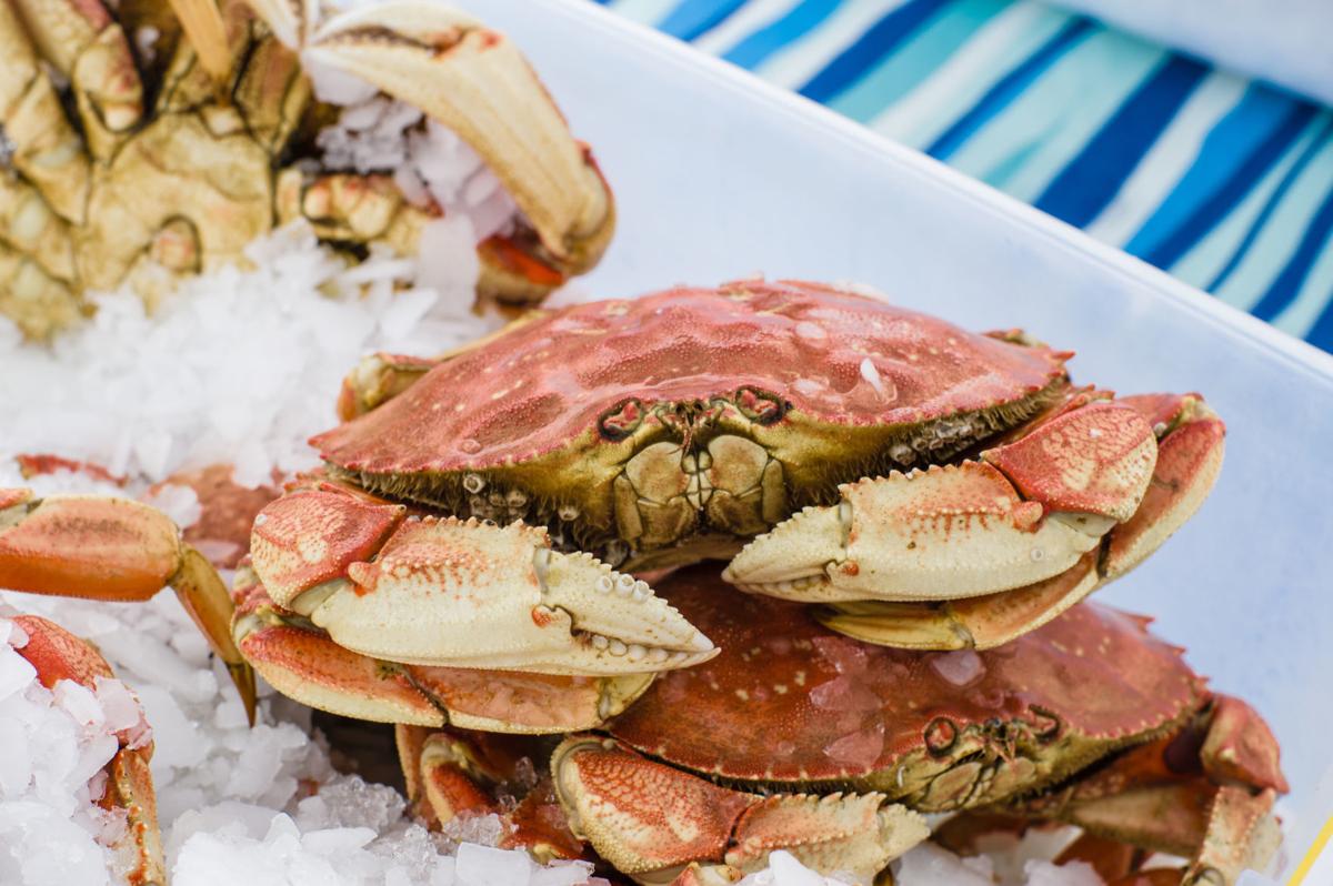 Dungeness crabs