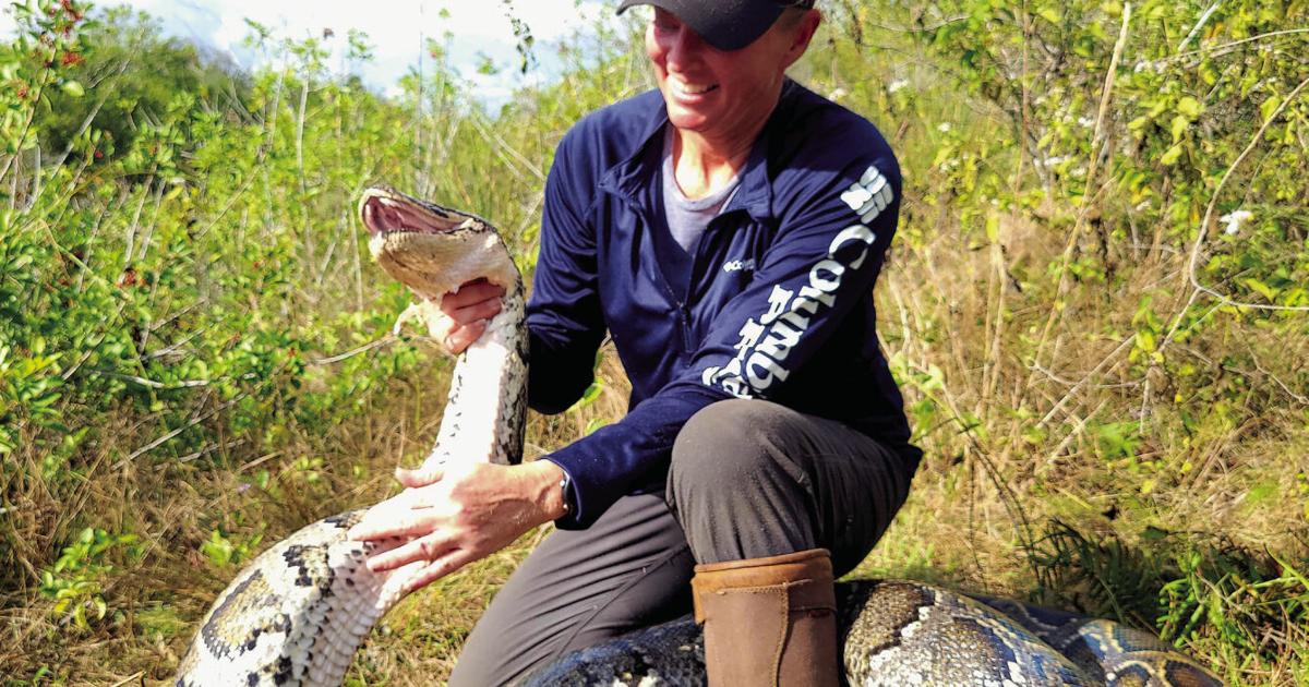 Python Hunters Britney Python hunters take on Year of the Snake | Local News | naplespress.com