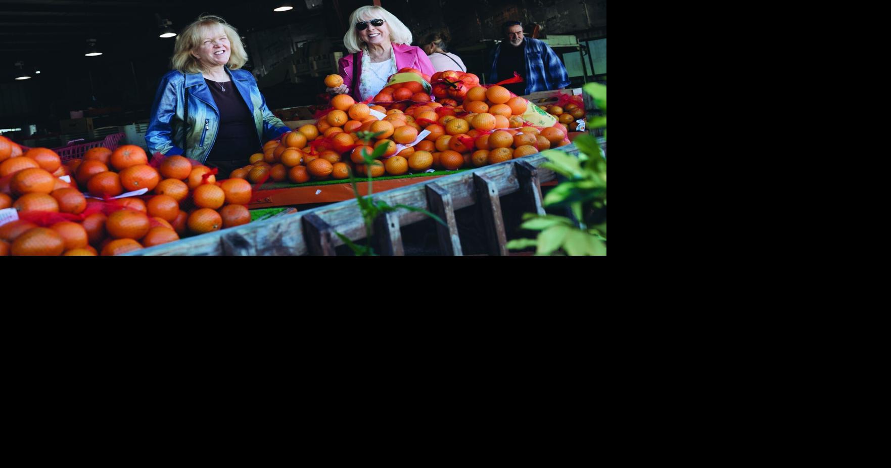 County commissioners delay plans for 423 homes on East Naples citrus grove