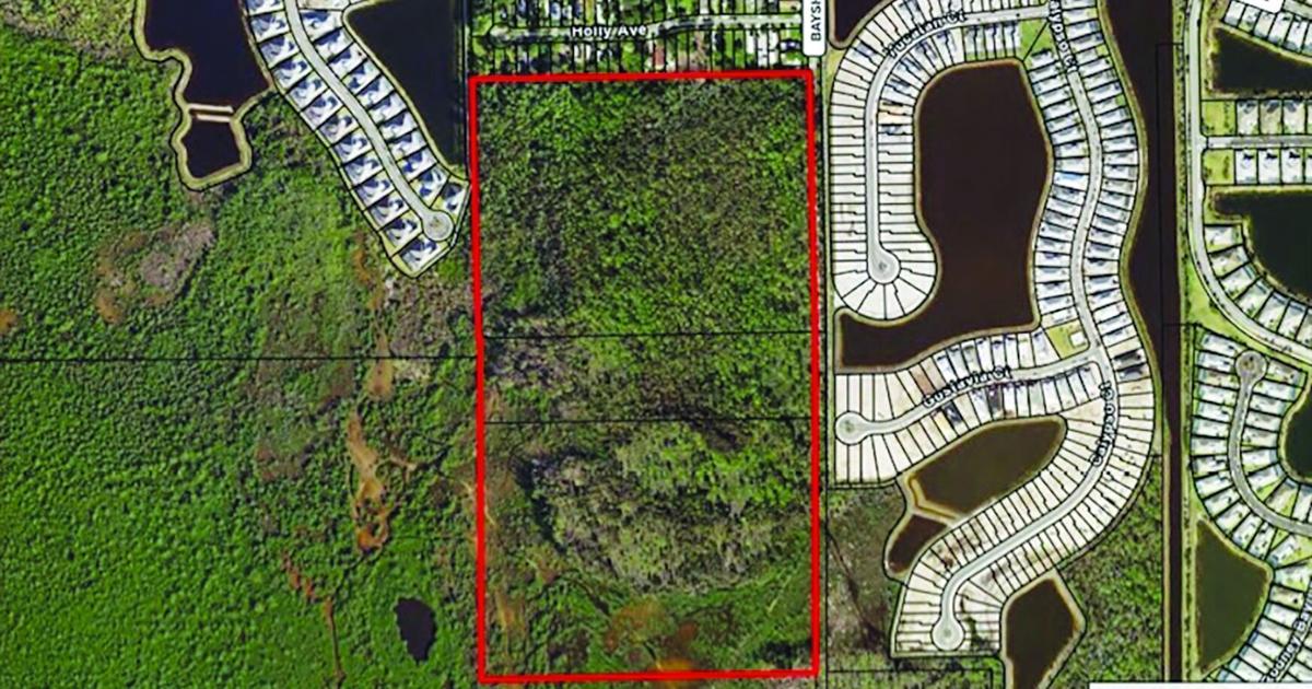 Bayshore drive development and its environmental impact | Local News ...