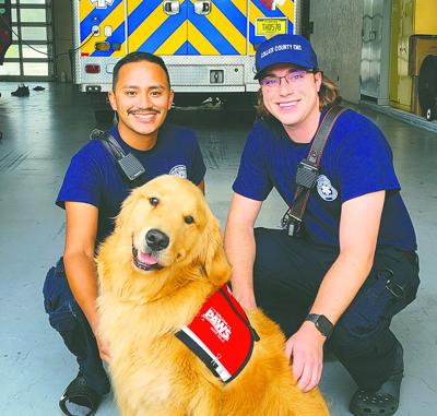 Ems Paws GOLDEN PAWS: Assistance dogs bring mental health support to Collier EMS ...