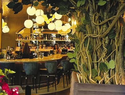 Beeline cocktail bar launches at Mercato | Local News | naplespress.com