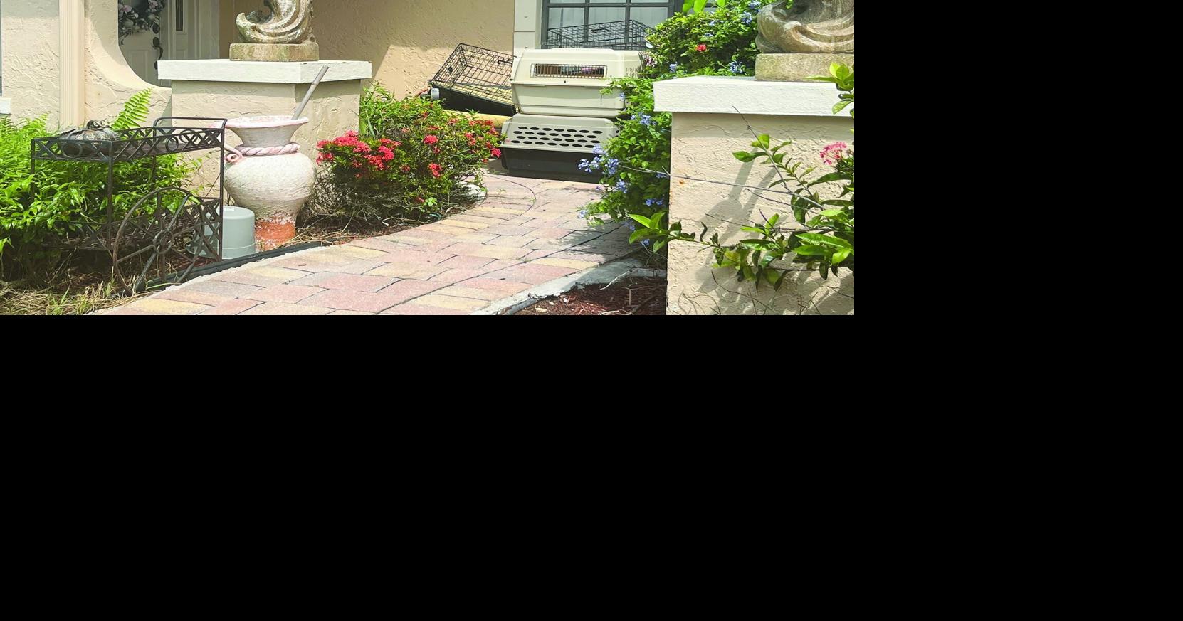 Year in review: ‘Alligator Alcatraz,’ permit fraud among top stories